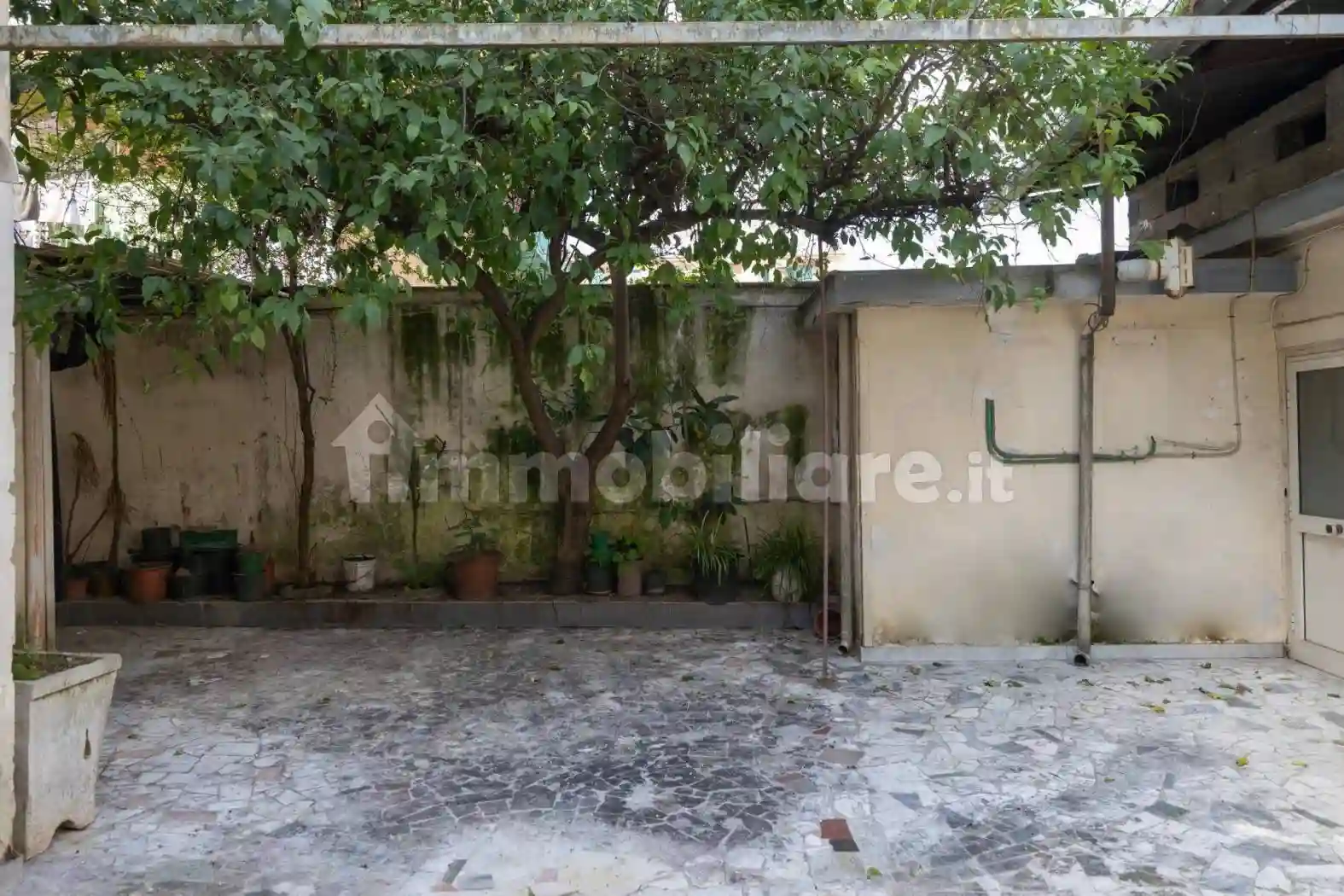 Palazzo - Edificio - foto 5