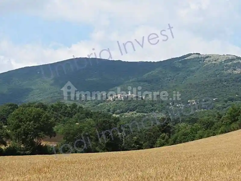Rustico - Casale in vendita a Montecchio