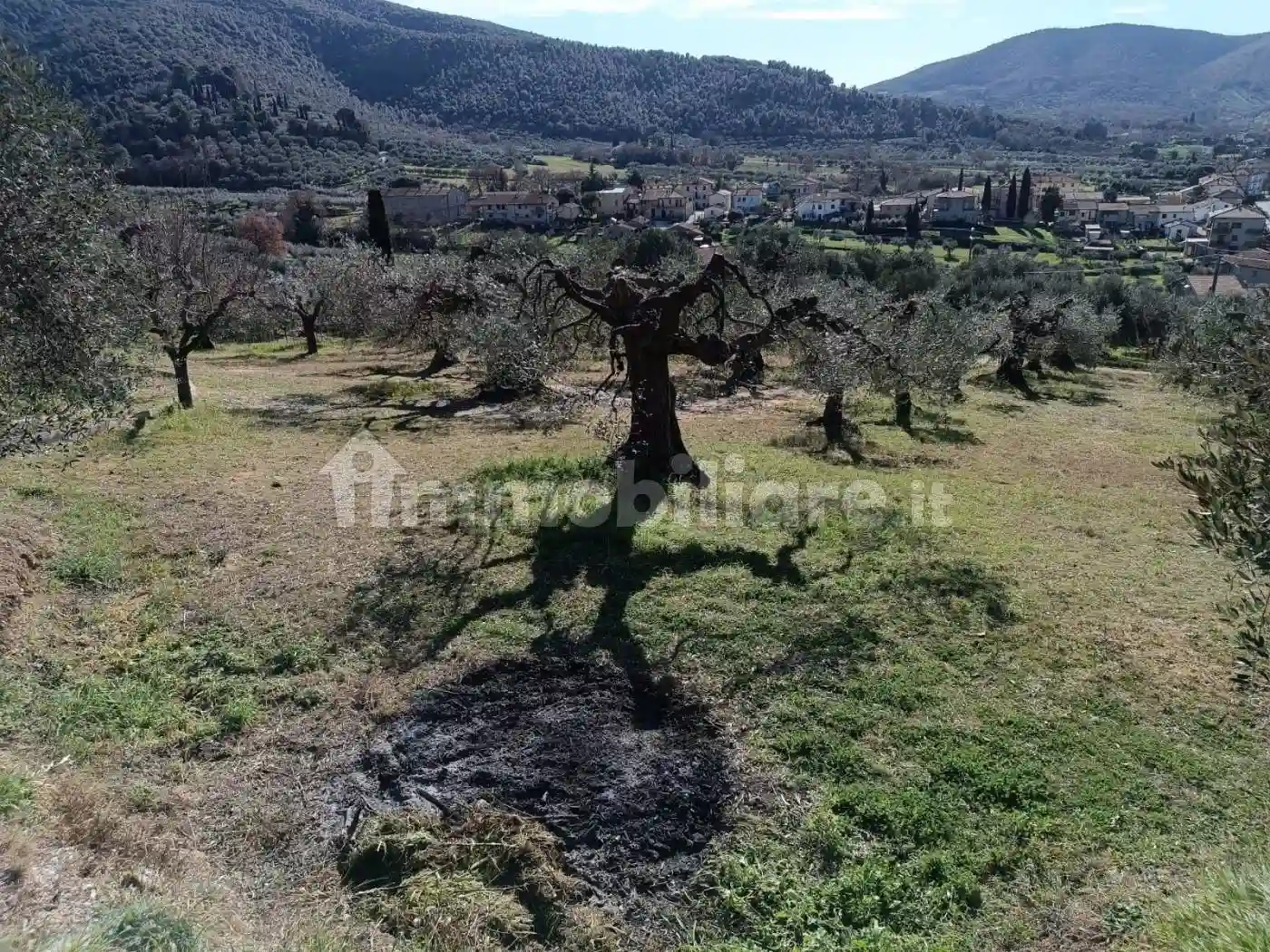 Palazzo - Edificio - foto 3