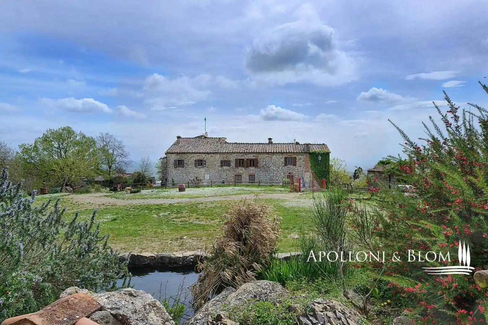 Rustico - Casale in vendita a Castelnuovo Berardenga
