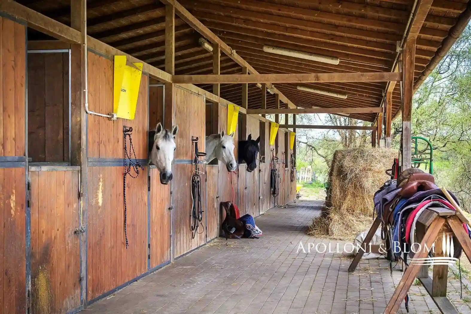 Rustico - Casale - foto 3