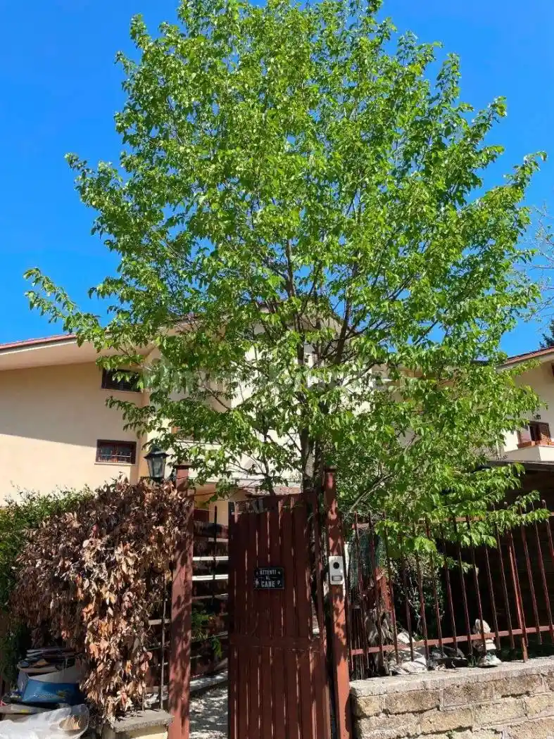 Appartamento in vendita a Ariccia