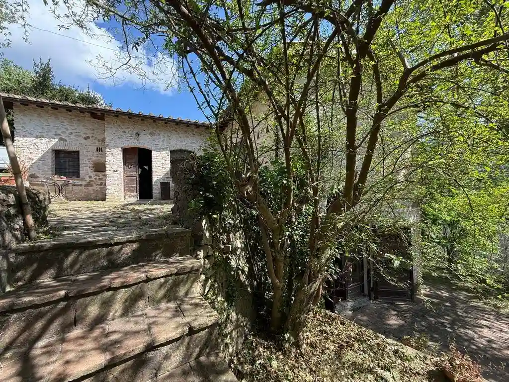Rustico - Casale - foto 3