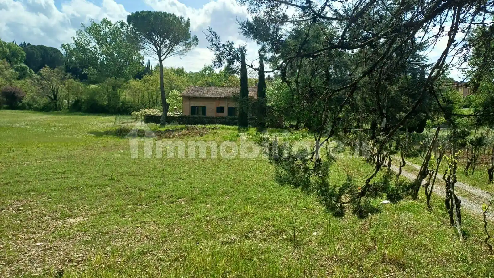 Casa indipendente in vendita a Castelnuovo Berardenga