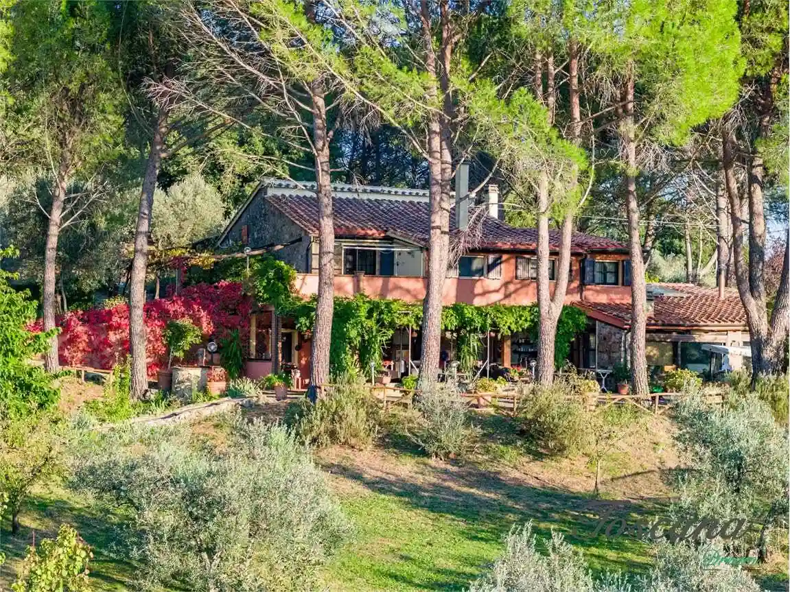 Rustico - Casale - foto 3