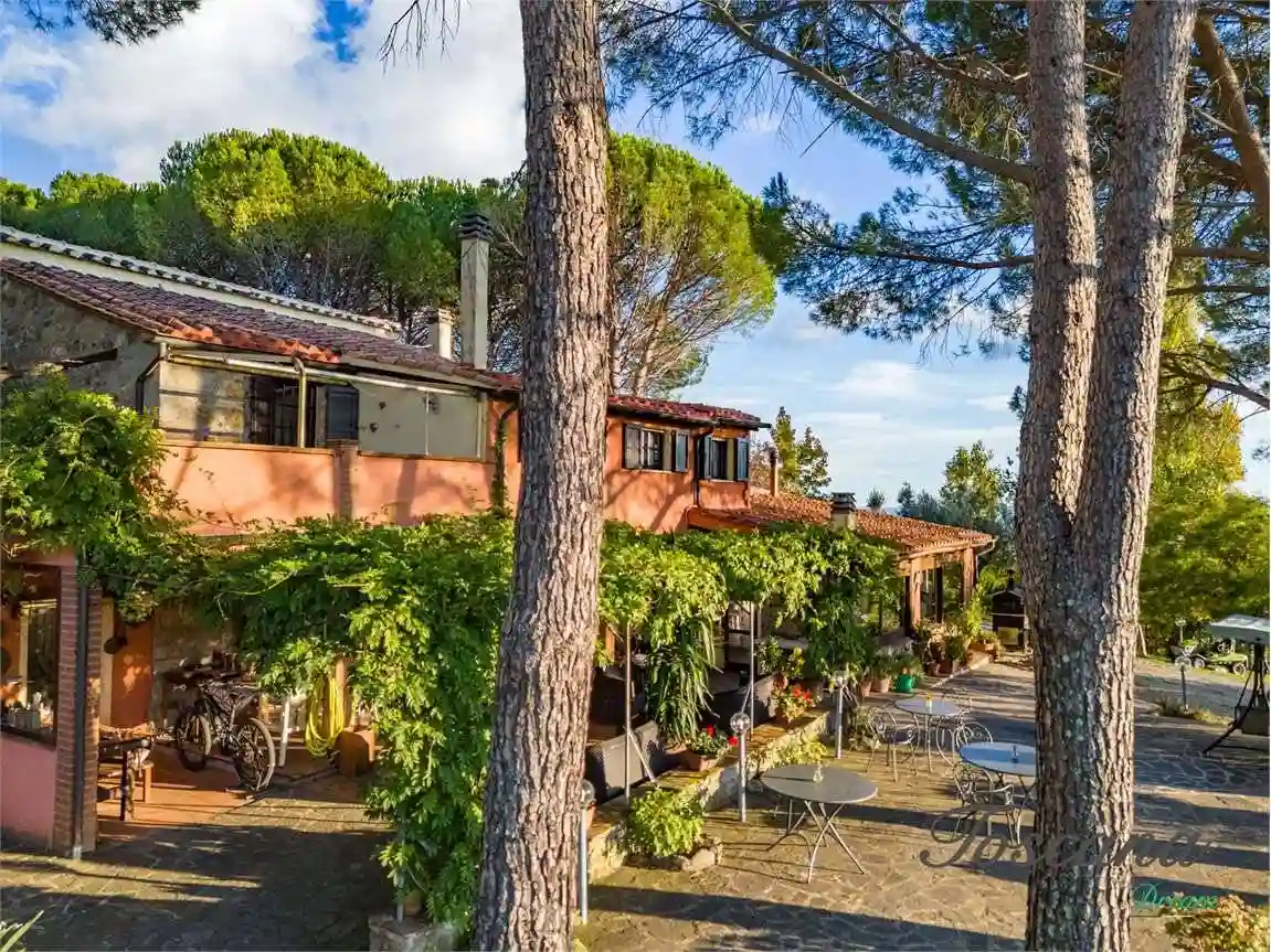 Rustico - Casale - foto 5