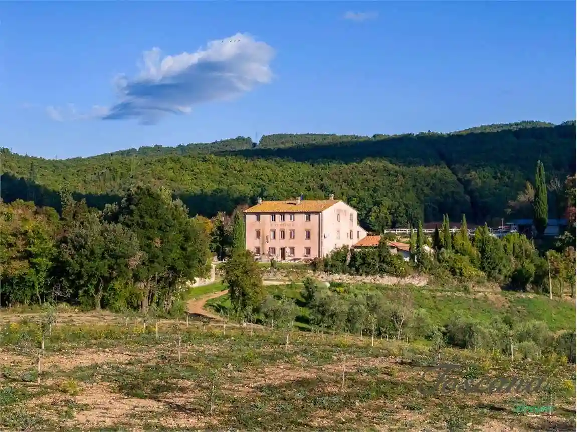 Rustico - Casale - foto 5
