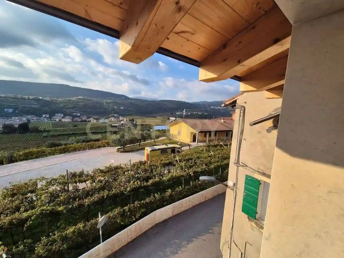 Palazzo - Edificio - foto 2