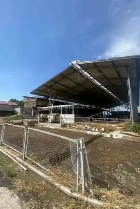Appartamento in vendita a Bagnolo San Vito