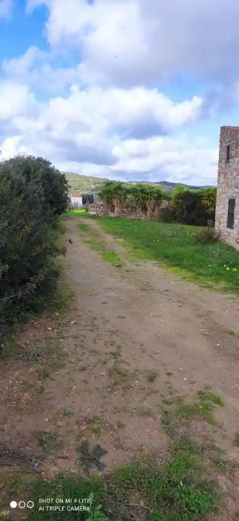 Villa in vendita a Carloforte
