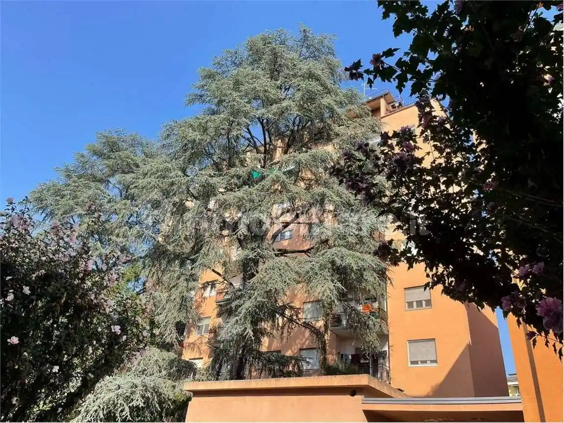 Appartamento in vendita a Novara