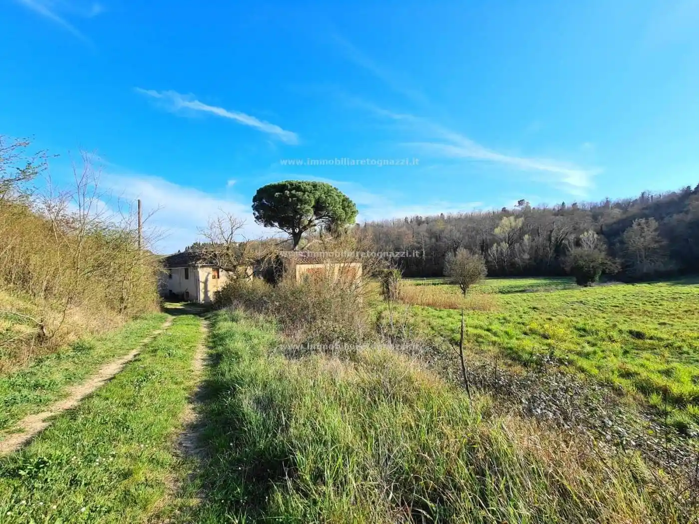Rustico - Casale in vendita a Castelfiorentino