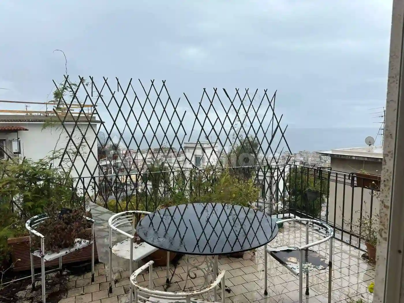 Palazzo - Edificio - foto 5