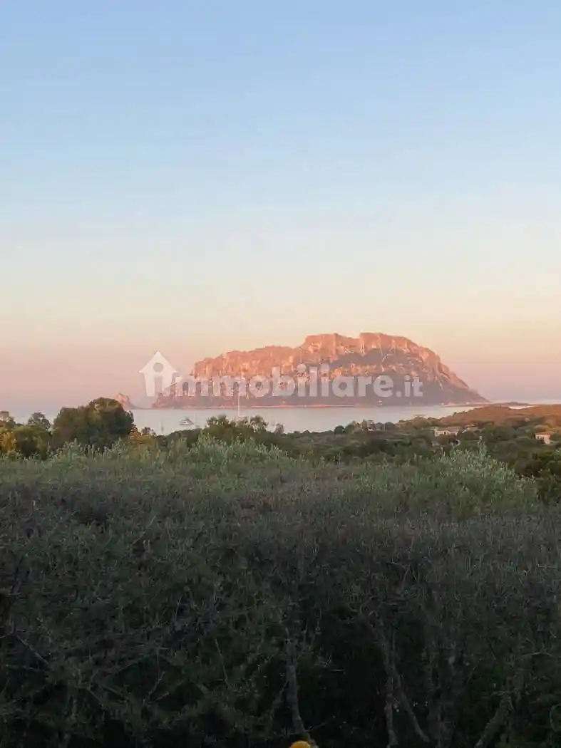 Villa in affitto a Olbia