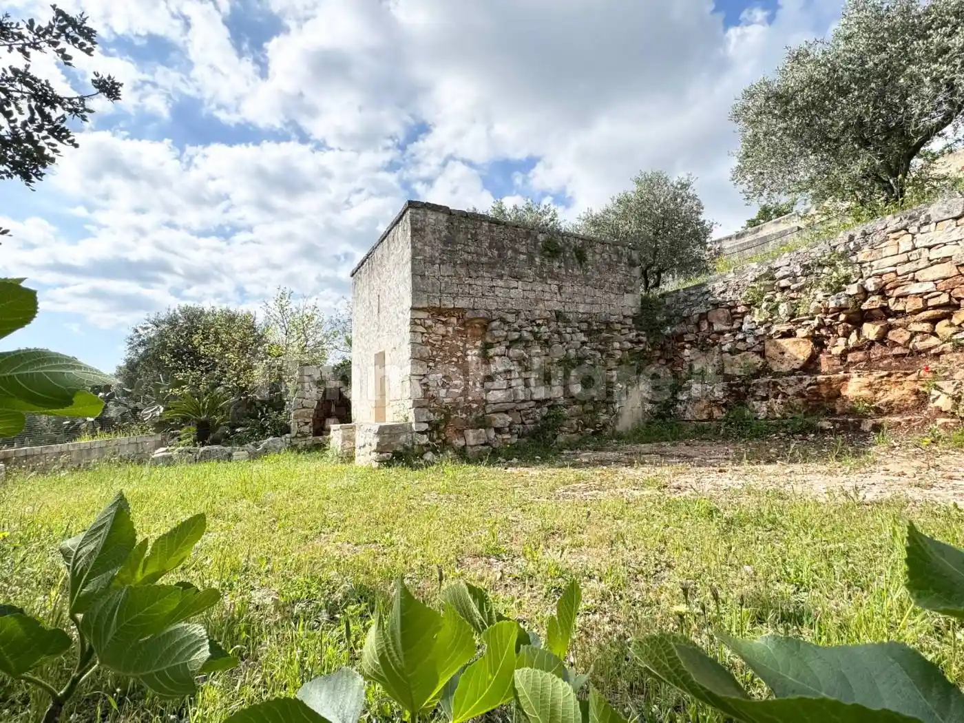 Rustico - Casale in vendita a Monopoli