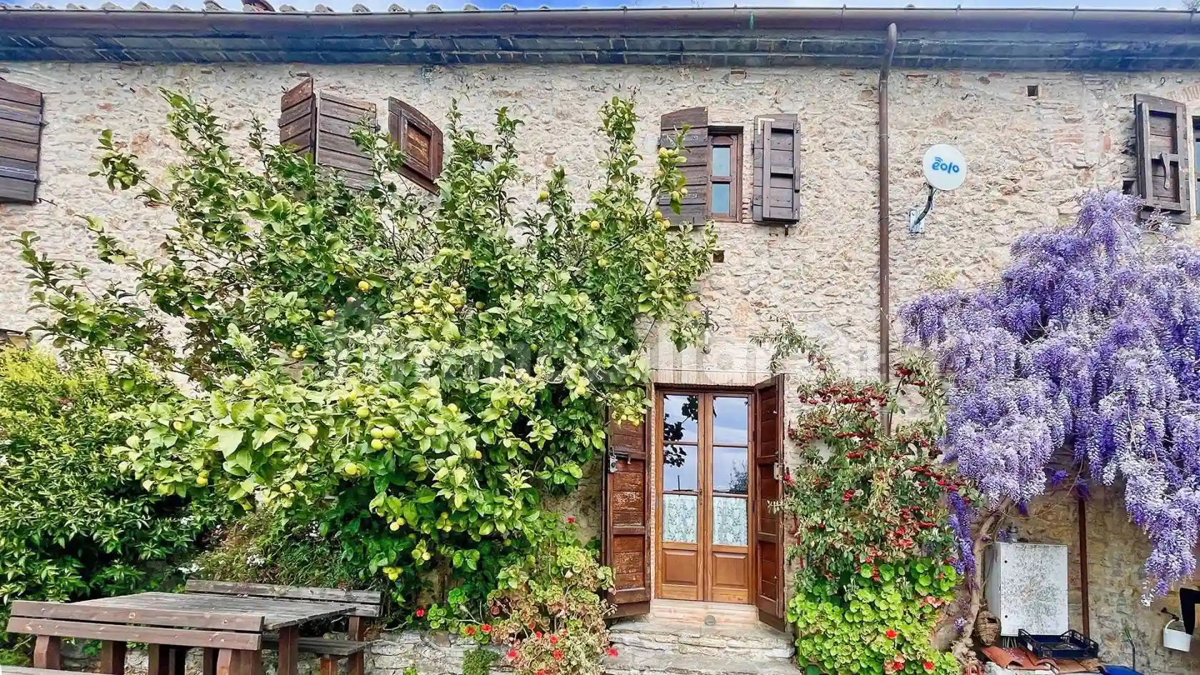 Rustico - Casale - foto 5