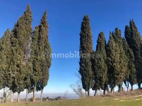 Rustico - Casale in vendita a Cesena