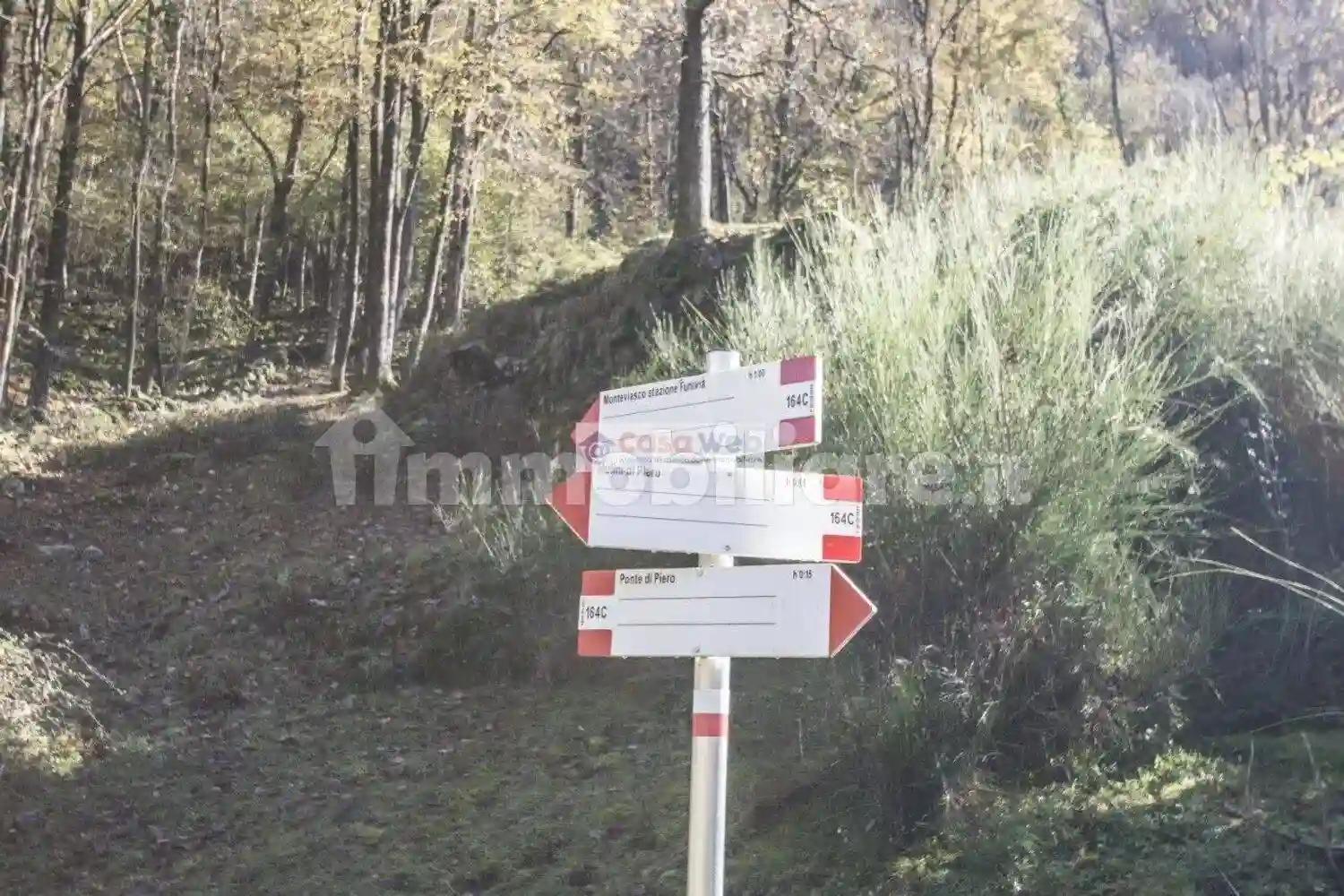 Rustico - Casale - foto 2