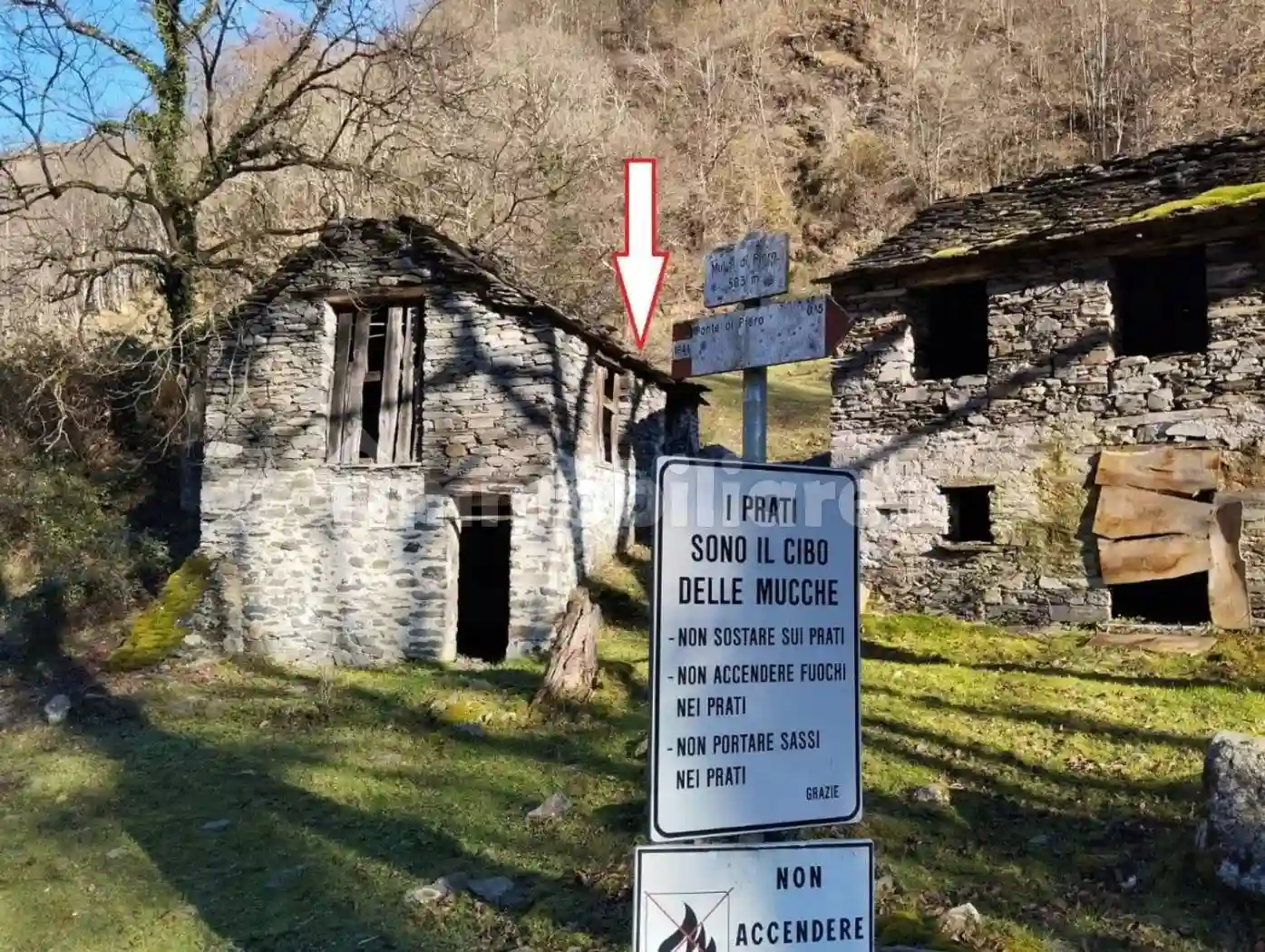 Rustico - Casale - foto 5