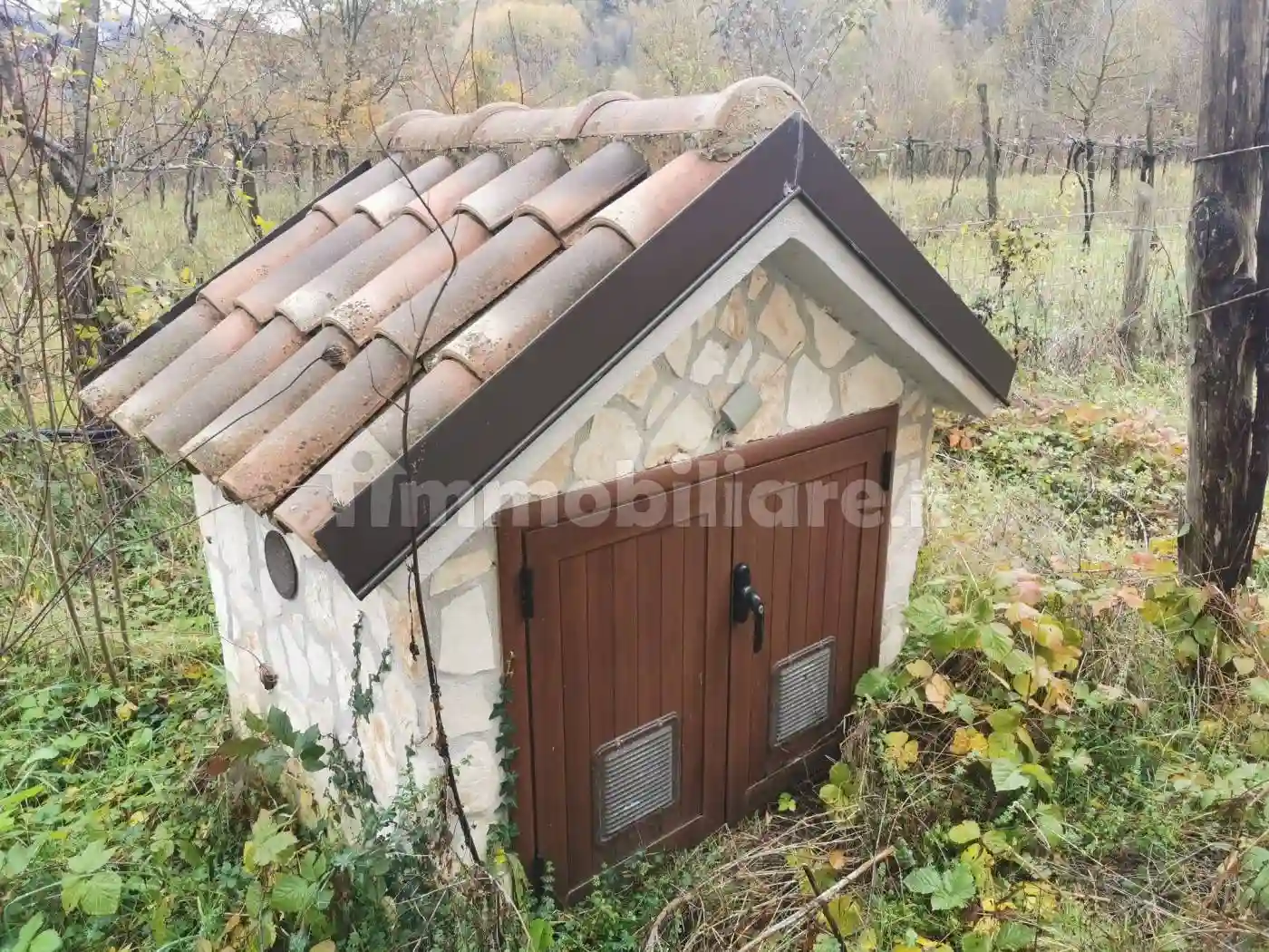 Rustico - Casale - foto 4