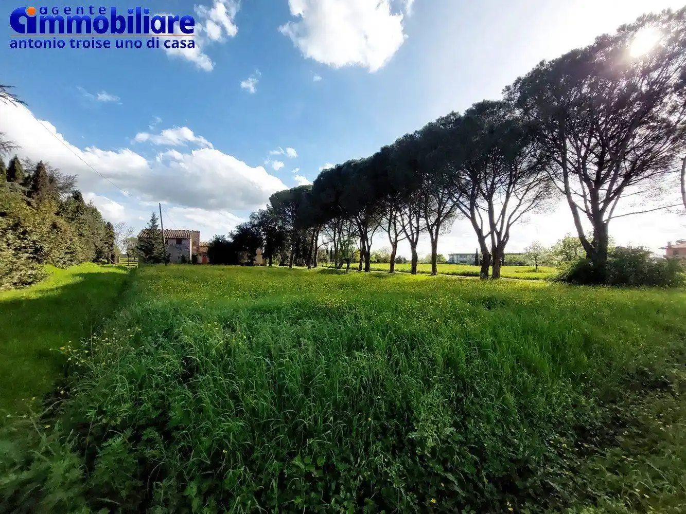 Rustico - Casale in vendita a Monsummano Terme