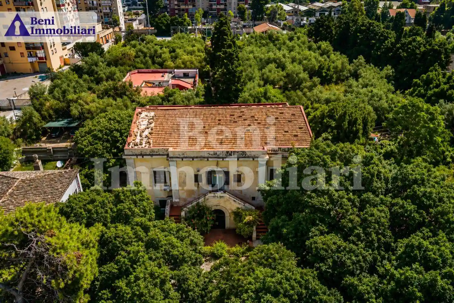 Palazzo - Edificio - foto 5
