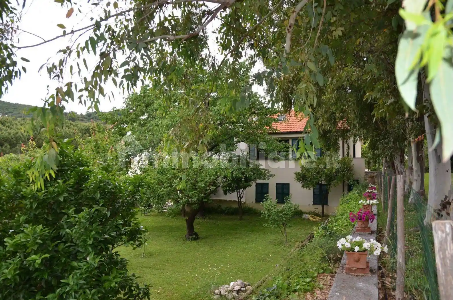 Casa indipendente in affitto a Spotorno