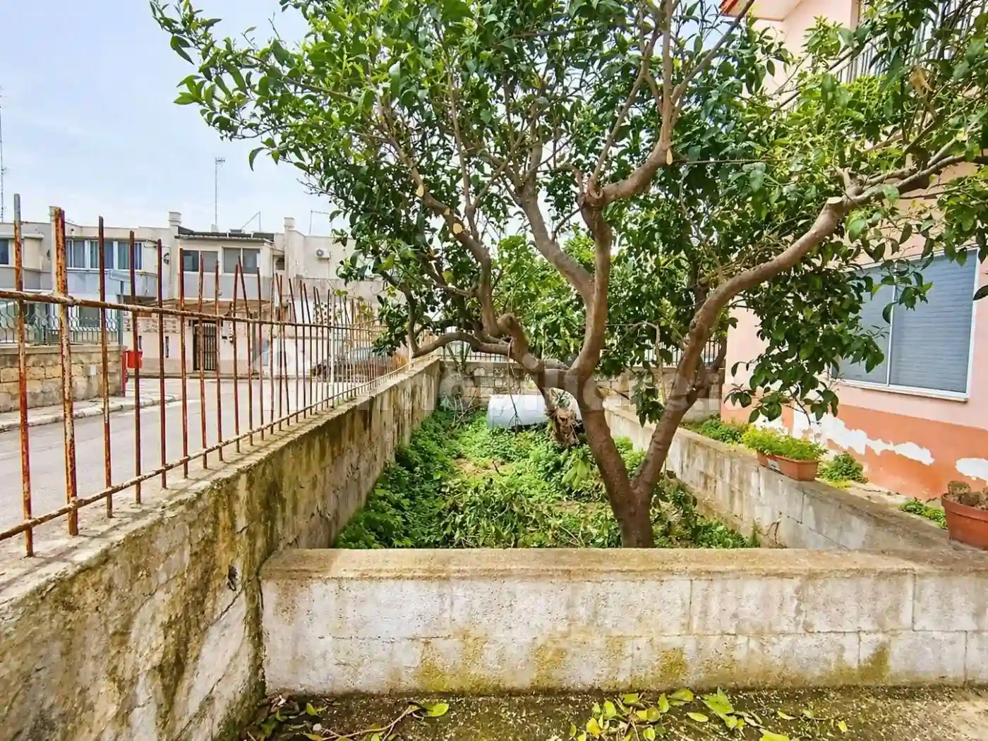 Palazzo - Edificio - foto 2