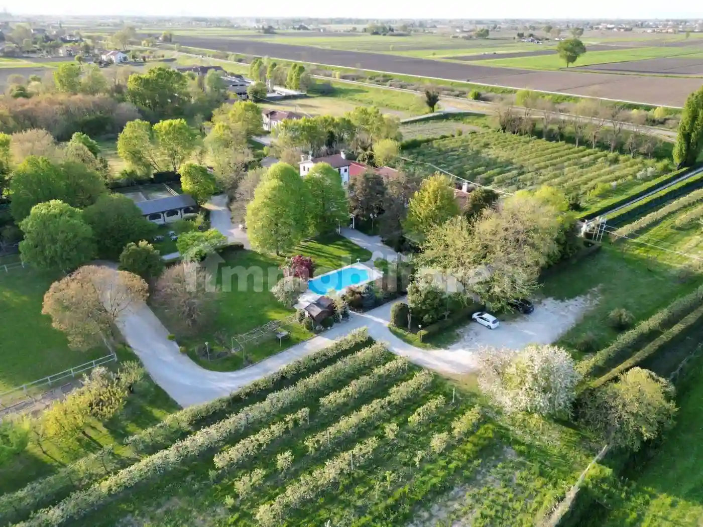 Palazzo - Edificio - foto 5