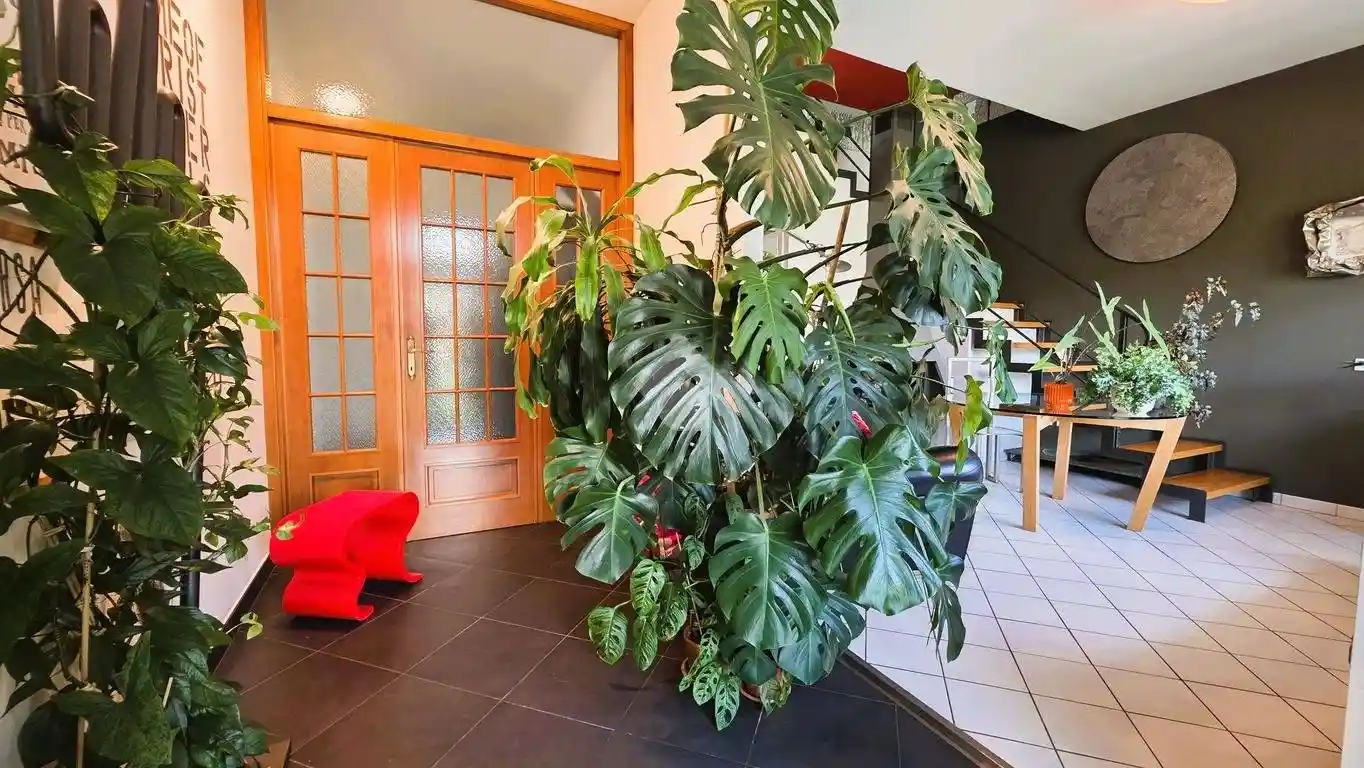 Villa in vendita a Borgo Virgilio