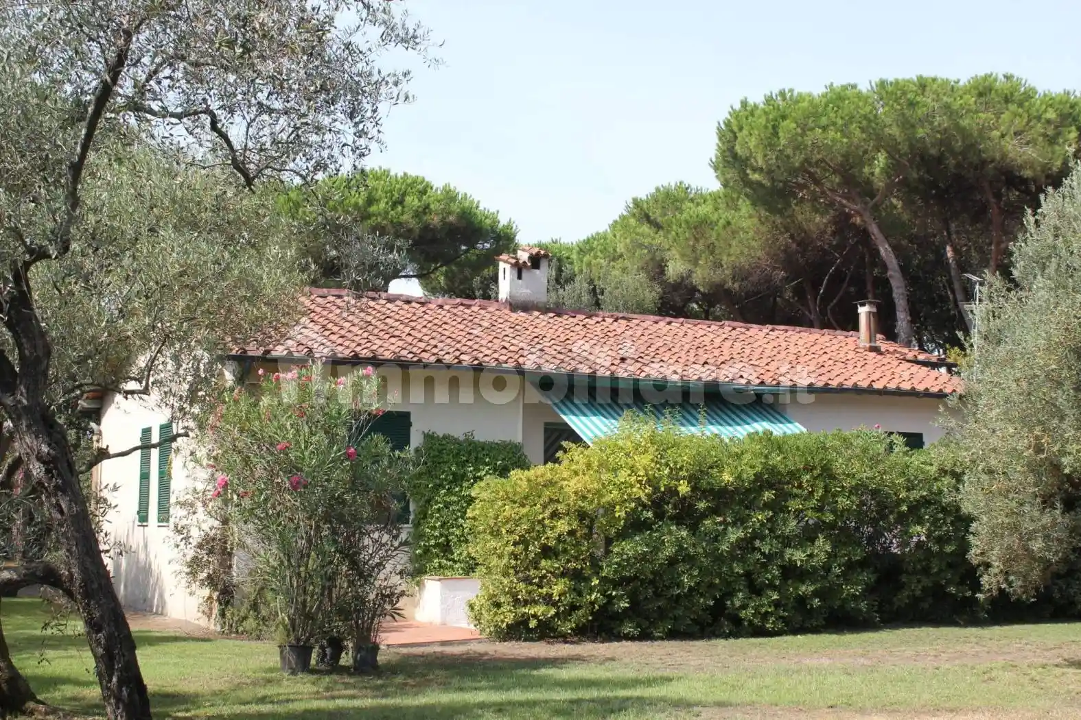 Villa in affitto a Camaiore