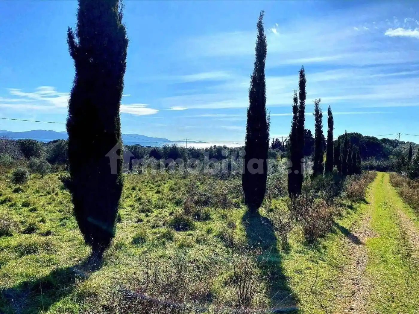 Rustico - Casale in vendita a Follonica