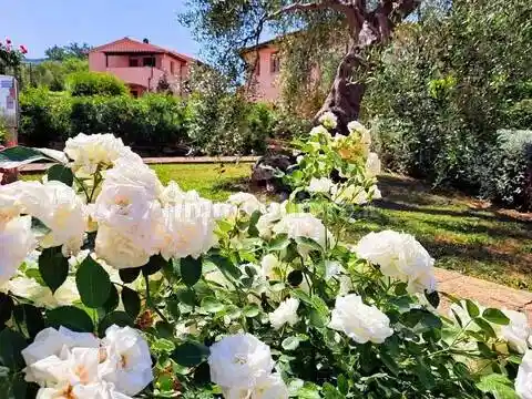 Appartamento in vendita a Scarlino