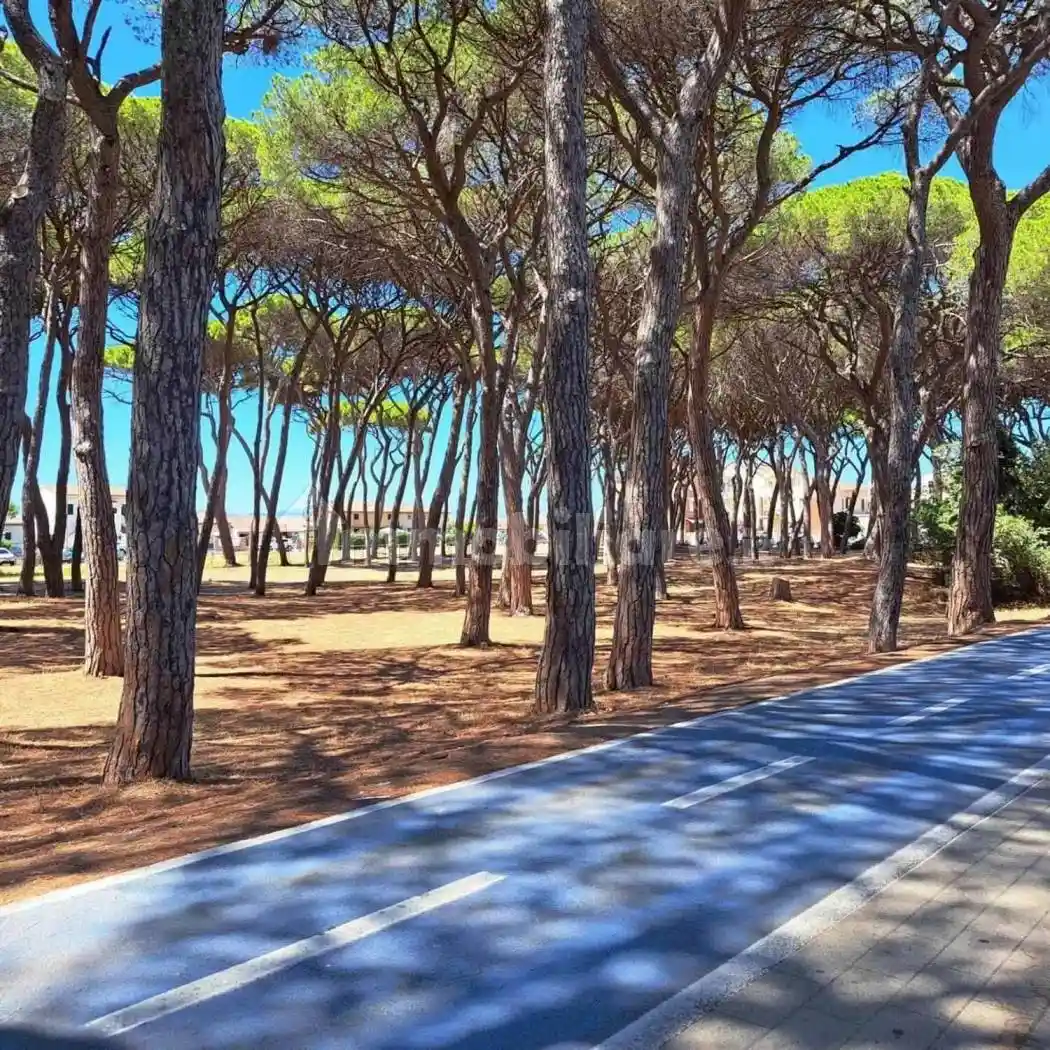 Appartamento in vendita a Follonica