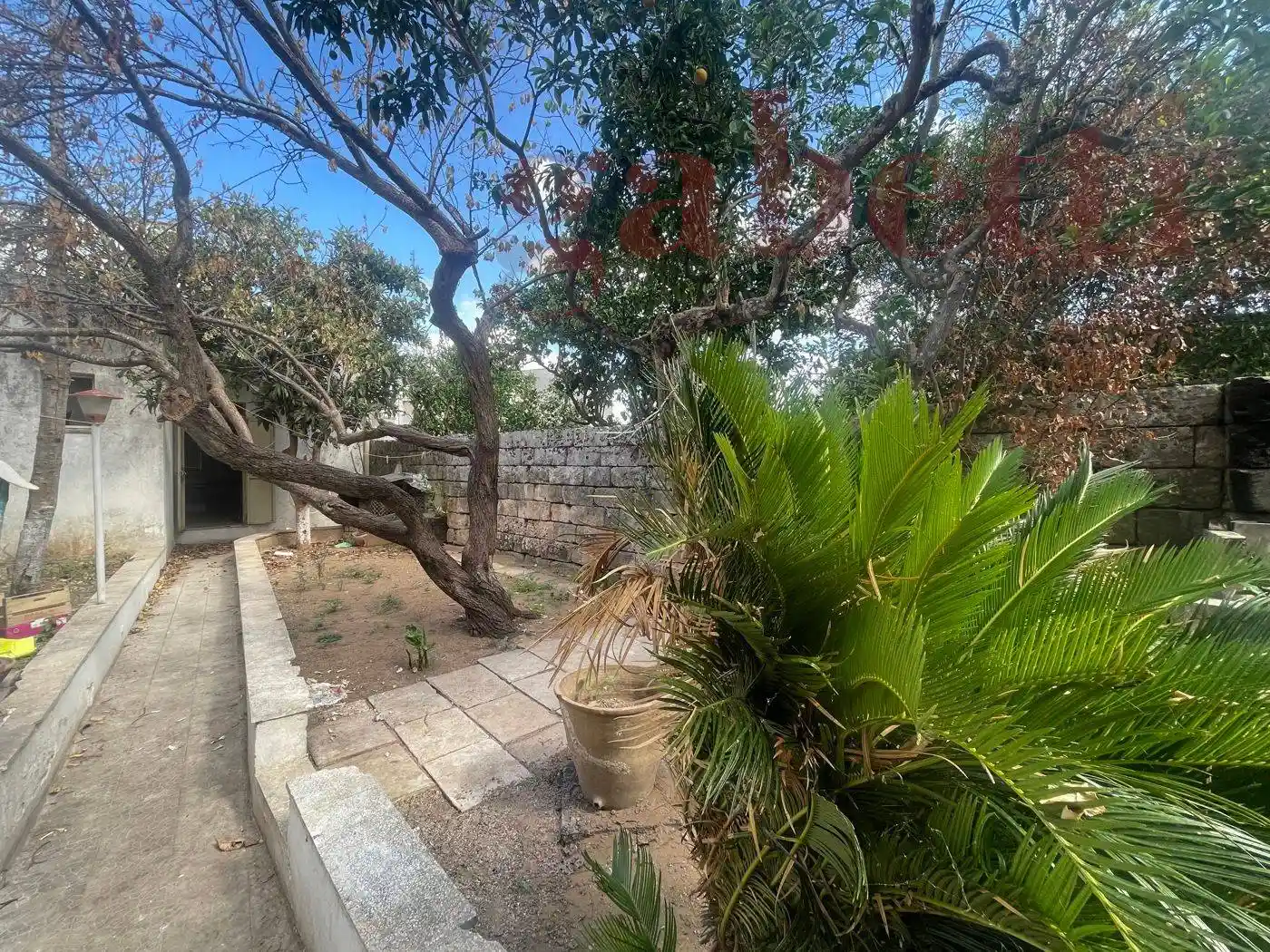 Casa indipendente in vendita a Spongano