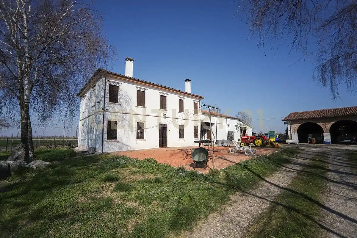 Rustico - Casale in vendita a Minerbe