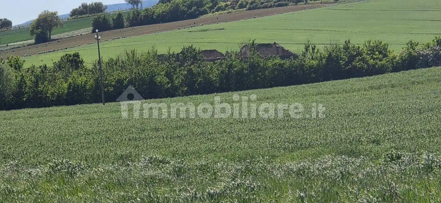 Rustico - Casale in vendita a Marsciano