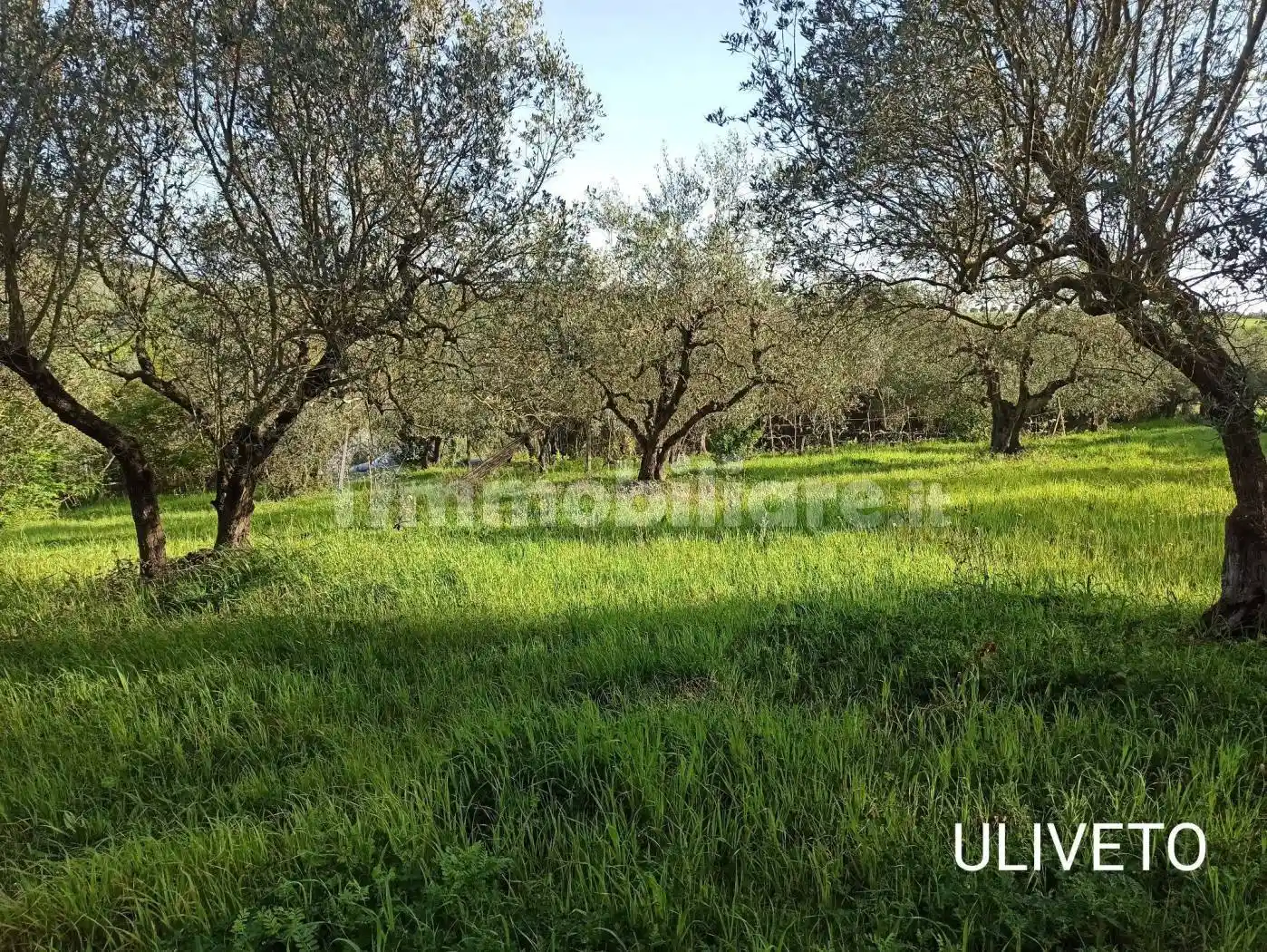 Appartamento in vendita a Montespertoli