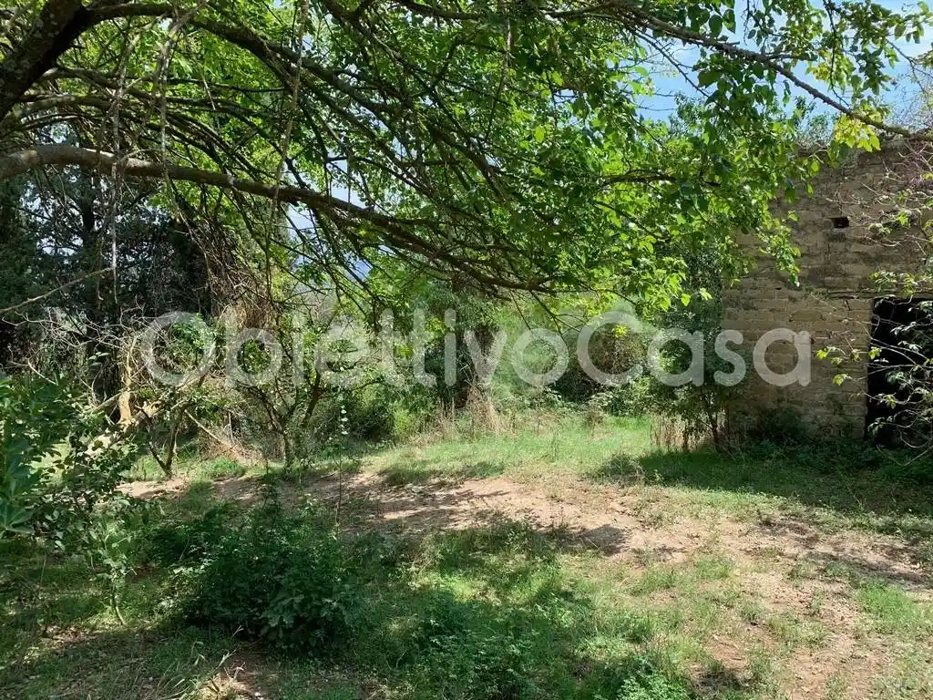 Rustico - Casale in vendita a Alvignano
