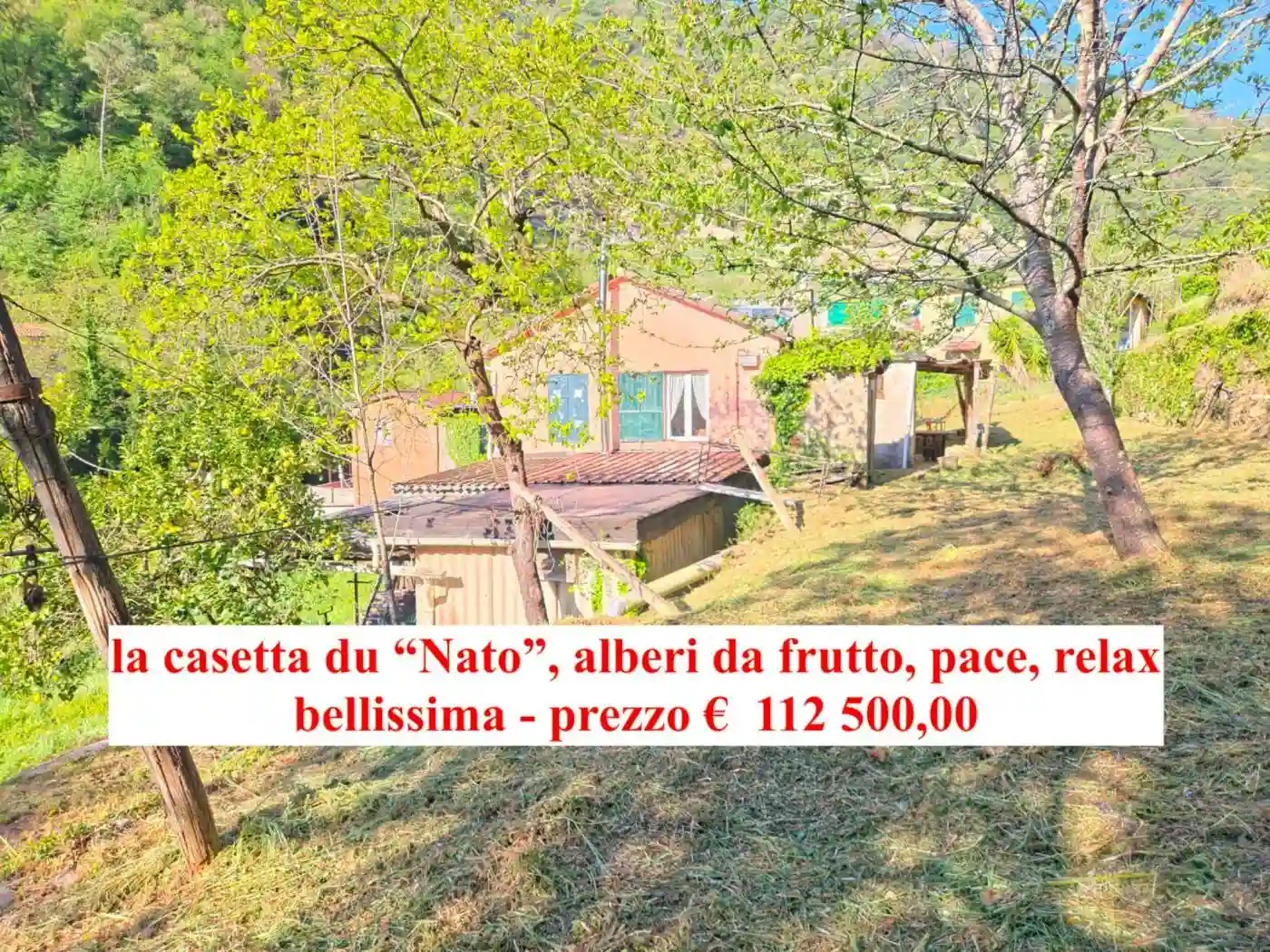 Rustico - Casale - foto 2