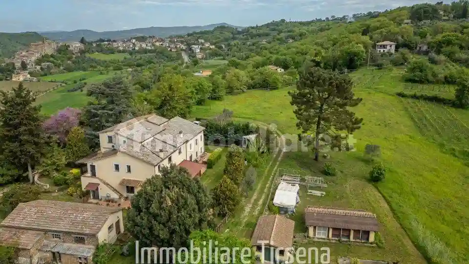 Rustico - Casale - foto 5