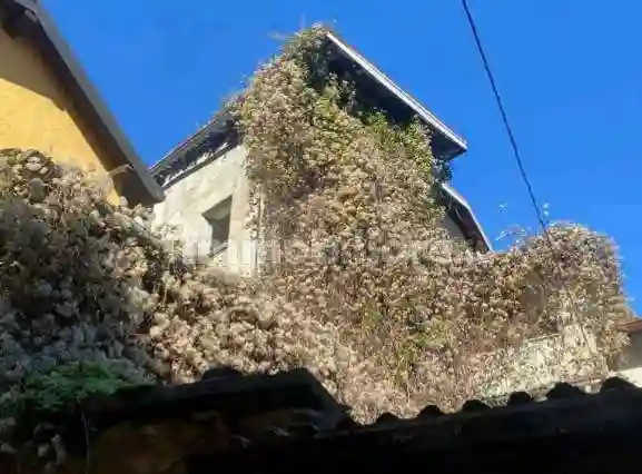 Palazzo - Stabile - foto 3