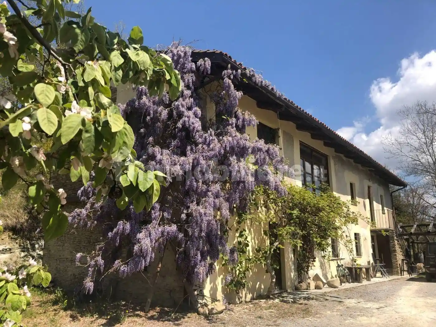 Rustico - Casale in vendita a Dogliani