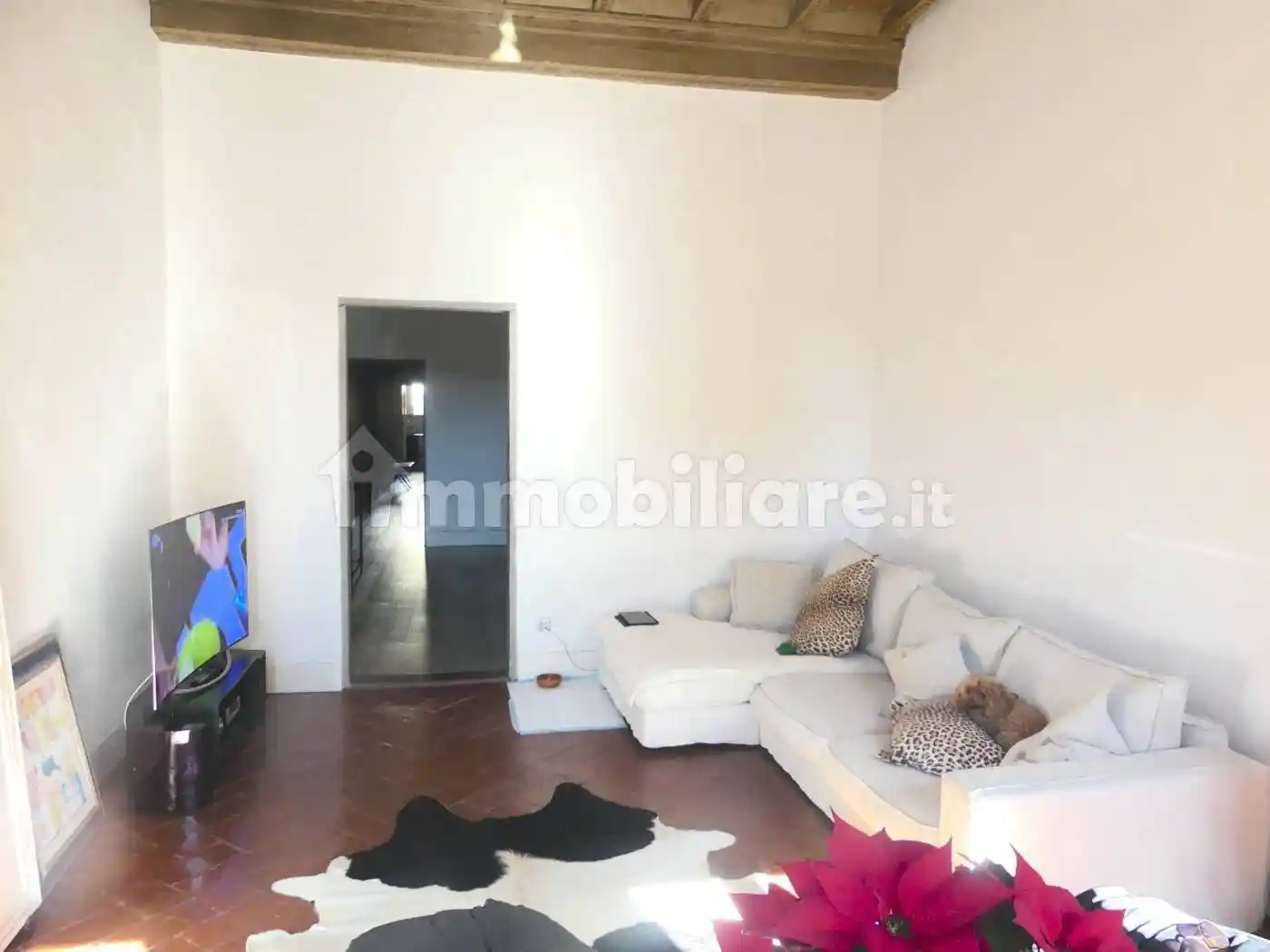 Appartamento in affitto a Firenze