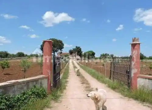 Rustico - Casale in vendita a Gioia del Colle