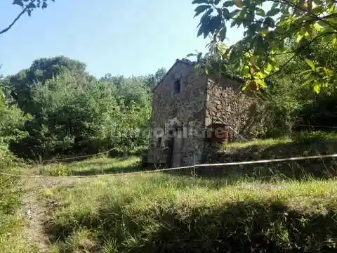 Rustico - Casale in vendita a Cinigiano