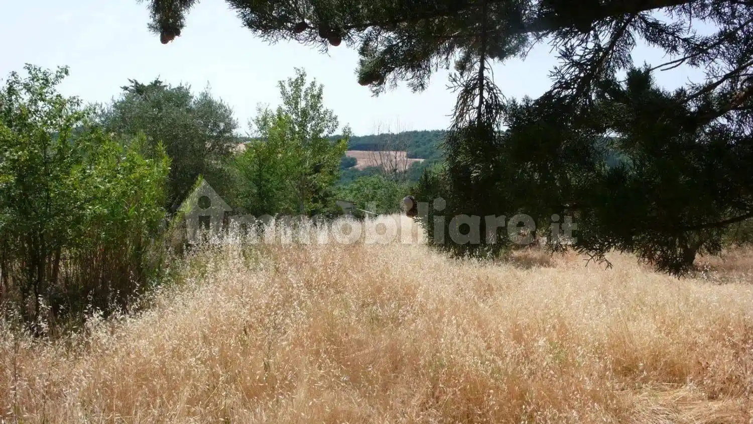 Rustico - Casale in vendita a Radicofani