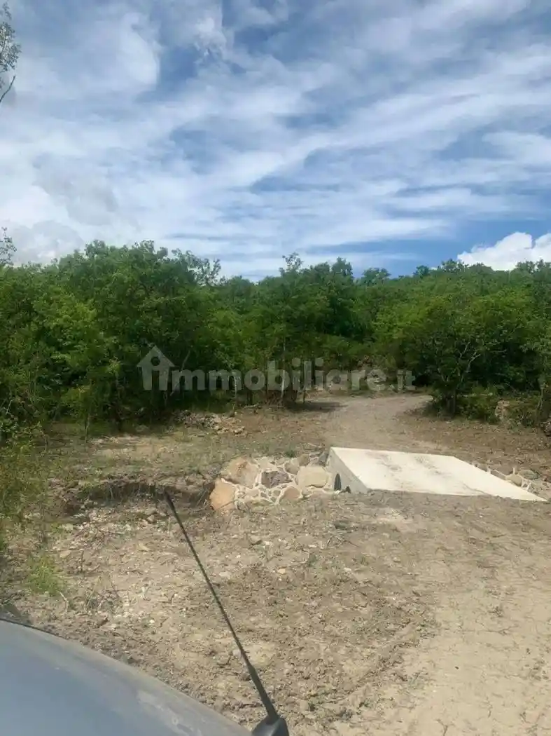 Rustico - Casale in vendita a Radicofani