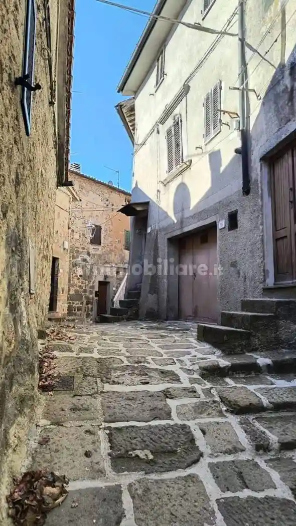 Villa in vendita a Piancastagnaio