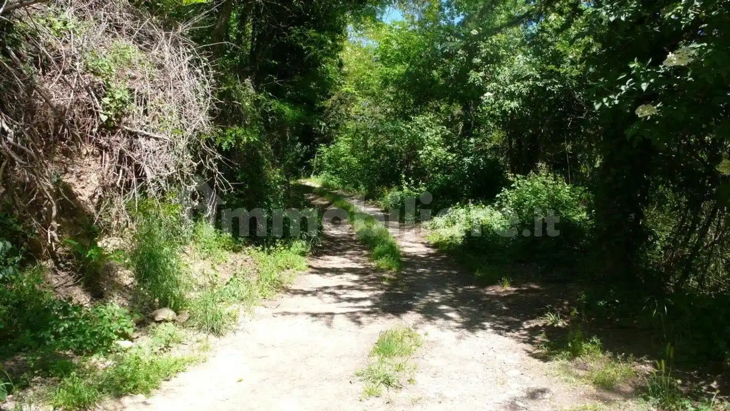 Rustico - Casale in vendita a Sorano